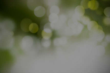 Abstract blurred green circular bokeh holiday background