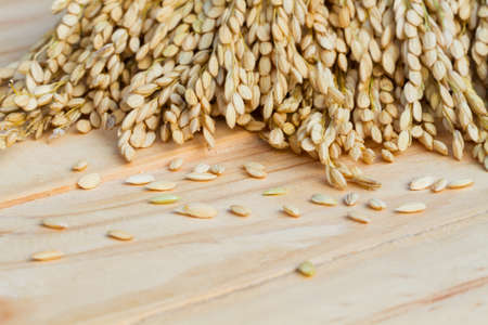grains, ear of rice on the wooden background, copyspace for textの写真素材