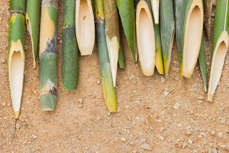 sharpened bamboo sticks on the ground used for stabbing dracular, copyspaceの写真素材