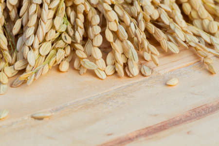 grains, ear of rice on the wooden background, copyspace for textの写真素材