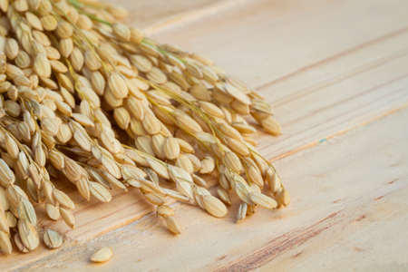 grains, ear of rice on the wooden background, copyspace for textの写真素材