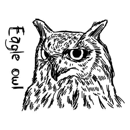 vector illustration sketch hand drawn with black lines of eagle owl isolated on white backgroundのイラスト素材