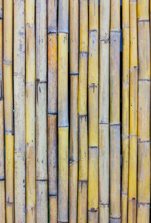 close-up of bamboo fence background in the park, outdoorの写真素材