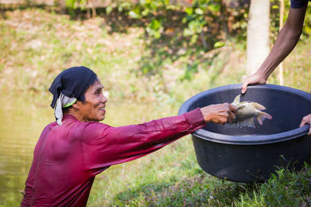 CHIANG RAI, THAILAND - FEBRUARY 18 : Unidentified man putting fish into black big bowl on February 18, 2017 in Chiang rai, Thailand.のeditorial素材