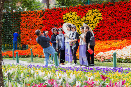 CHIANGRAI, THAILAND - DECEMBER 7: unidentified asian tourists taking photo in flower festival on December 7, 2016 in Chiangrai, Thailand.のeditorial素材
