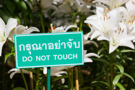 sign "Do not touch" at flower festival in Chiangrai, Thailand.の写真素材