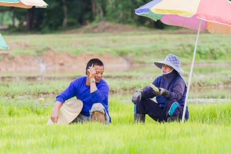 CHIANG RAI, THAILAND - JUNE 16 : Unidentified husband and wife farmer talking in the field on June 16, 2017 in Chiang rai, Thailand.のeditorial素材