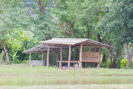 Thai traditional hut on the rice field, Thailandの写真素材
