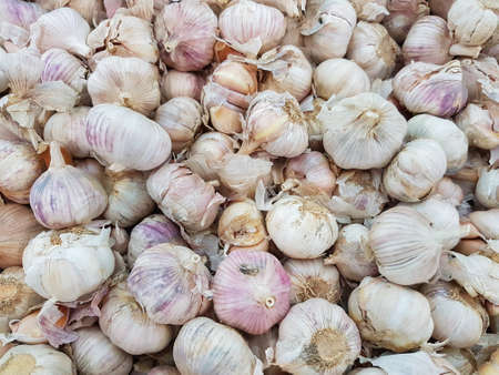 Garlic or Allium sativum cloves close up for texture use as background in supermarketの写真素材