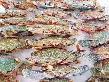 Fresh crab on ice in supermarket, food concept backgroundの写真素材