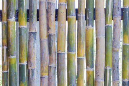 bamboo fence wall texture background, shallow depth of fieldの写真素材