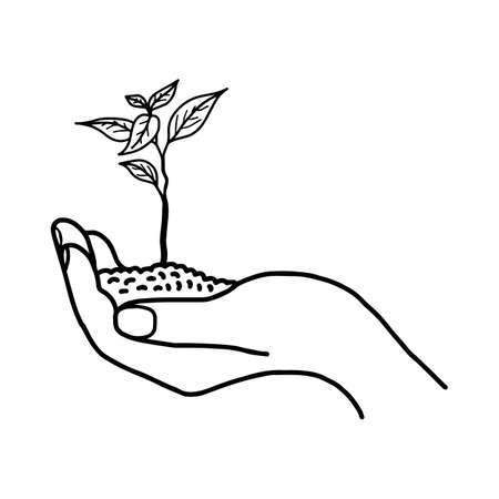 Growing plant or sprout with soil in left hand - vector illustration sketch hand drawn with black lines, isolated on white backgroundのイラスト素材