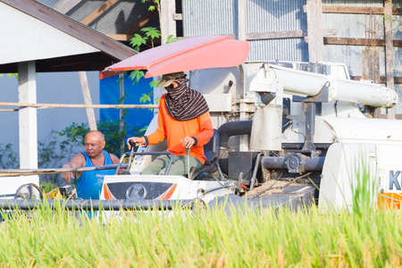 CHIANGRAI, THAILAND - OCTOBER 12: unidentified asian man driving combine harvester on the rice field on October 12, 2017 in Chiangrai, Thailand.のeditorial素材
