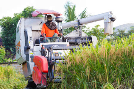 CHIANGRAI, THAILAND - OCTOBER 12: close-up unidentified asian man driving combine harvester on the rice field on October 12, 2017 in Chiangrai, Thailand.のeditorial素材