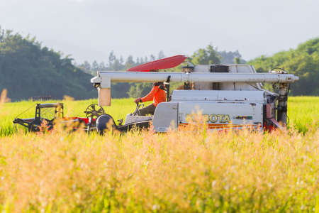 CHIANGRAI, THAILAND - OCTOBER 12: unidentified asian man driving combine harvester on the rice field on October 12, 2017 in Chiangrai, Thailand.のeditorial素材