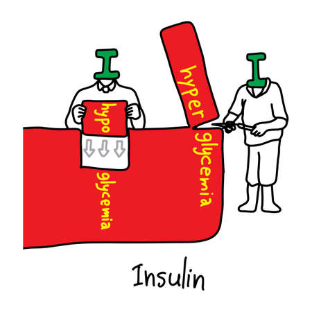 Metaphor main function of insulin is to control glucose levels in human blood vector illustration. Sketch hand drawn with black lines, isolated on white background. Education Medical concept.のイラスト素材
