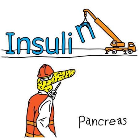 Metaphor function of human pancreas is to produce insulin hormone vector illustration sketch hand drawn with black lines, isolated on white background. Education Medical concept.のイラスト素材