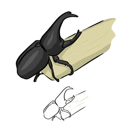 Bug rhinoceros on sugarcane vector illustration sketch doodle hand drawn with black lines isolated on white backgroundのイラスト素材