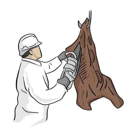 male butcher using chainsaw to cut hanging meat vector illustration with black lines isolated on...