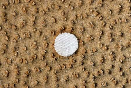 Closeup of Swedish hard ryebread