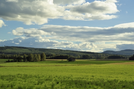 Swedish summer landscape in Dalarna - Swedenの写真素材
