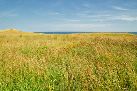 Alse stenar near ystad in swedenの写真素材