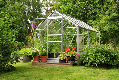 Green house full of flowers and plantsの写真素材