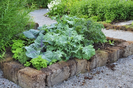 Organic Gardeningの写真素材