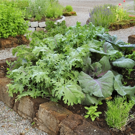 Organic Gardeningの写真素材