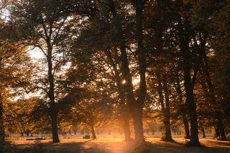 Summer in public parkの写真素材