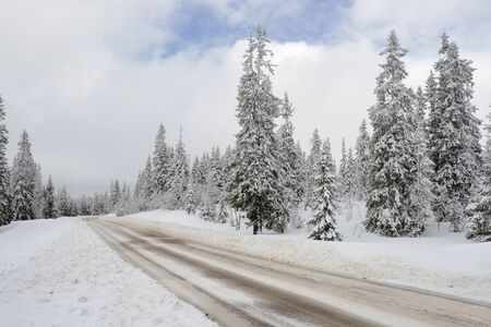 Road through a Winter Wonderland in Swedenの写真素材