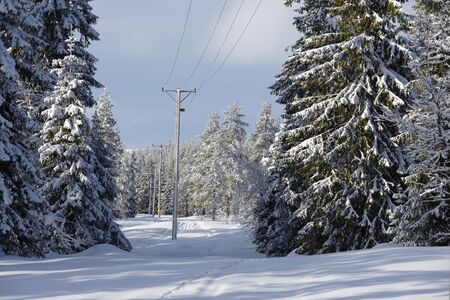Winter landscape with power lineの写真素材