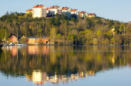 Waterfront apartment building with a beaver swimming across the picture. Stockholm - Swedenの写真素材