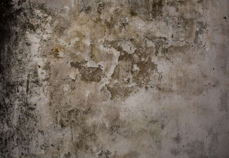 old wallの写真素材