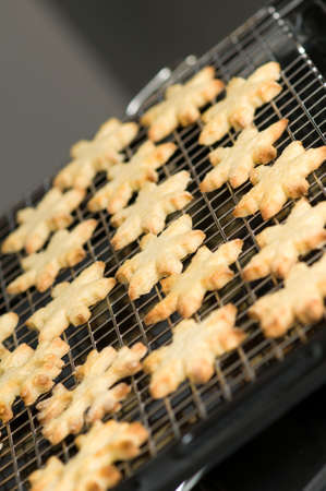 Ready backed star shape cookies on on a rackの写真素材