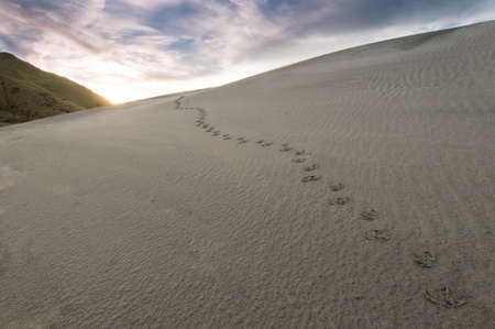 Footprints in sand during sunriseの写真素材