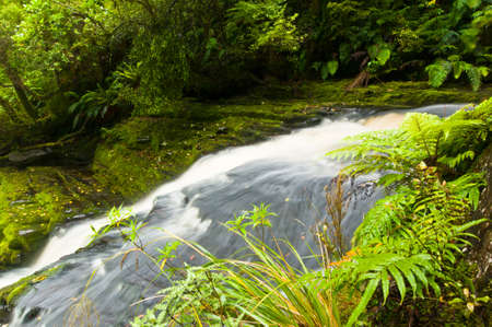 Lower part of Mac Lean Falls in the Catlins of South New Zealandの写真素材