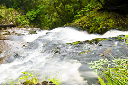 Lower part of Mac Lean Falls in the Catlins of South New Zealandの写真素材