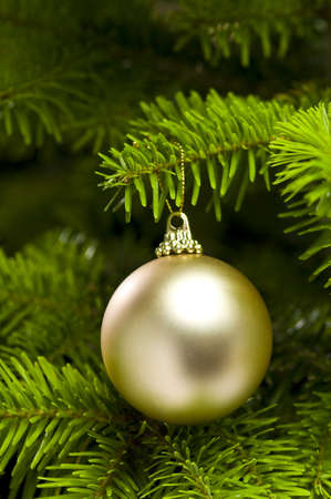Ball shape Christmas decoration in real tree Ball shape Christmas decoration in real tree