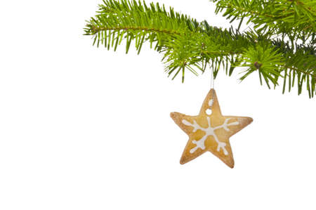 Branch of a Christmas tree decorated with cookie, over whiteの写真素材