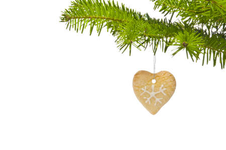 Branch of a Christmas tree decorated with cookie, over whiteの写真素材