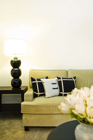 Contemporary sofa seating area beautiful interior designの写真素材