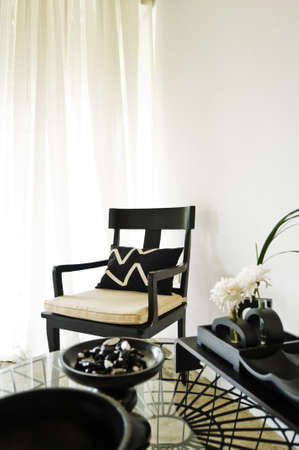 Contemporary seating combination in black with elegant pillows and detailsの写真素材