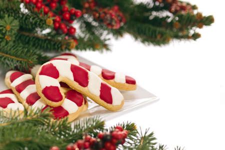 christmas cookies decorated with real tree branches, over whiteの写真素材