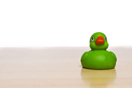 Duck on a table over white, aloneの写真素材