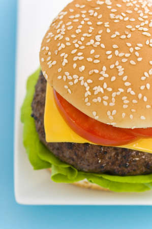 Classic Hamburger with cheese tomato and salad on dishwareの写真素材