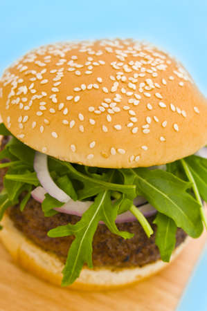Hamburger with fresh onion and saladの写真素材