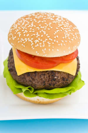 Classic Hamburger with cheese tomato and salad on dishwareの写真素材