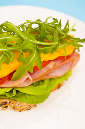 Open sandwich with melted cheese and salad decorationの写真素材