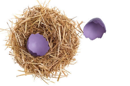 Straw nest with broken eggshell over white studio shoot